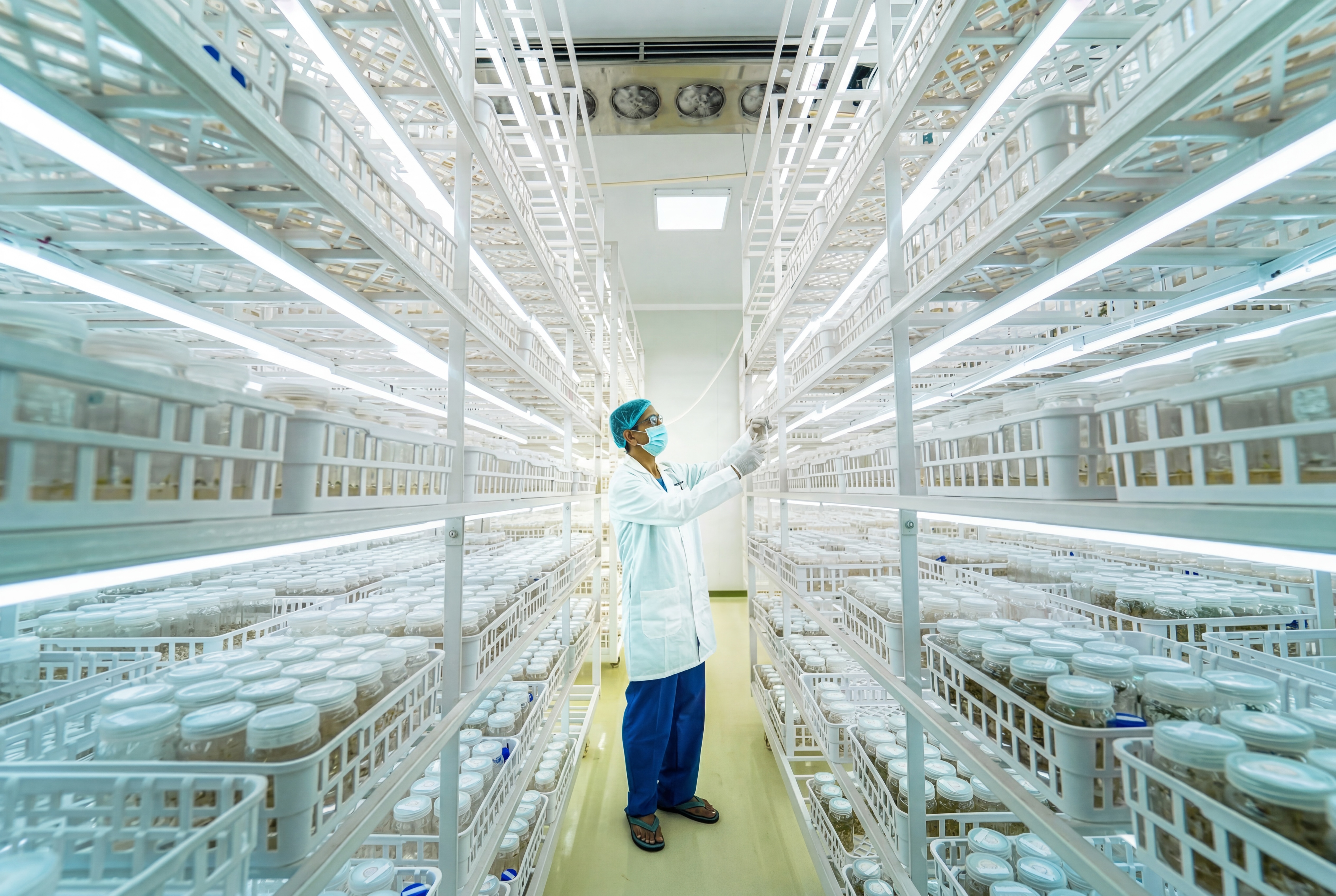 Tissue culture laboratory
