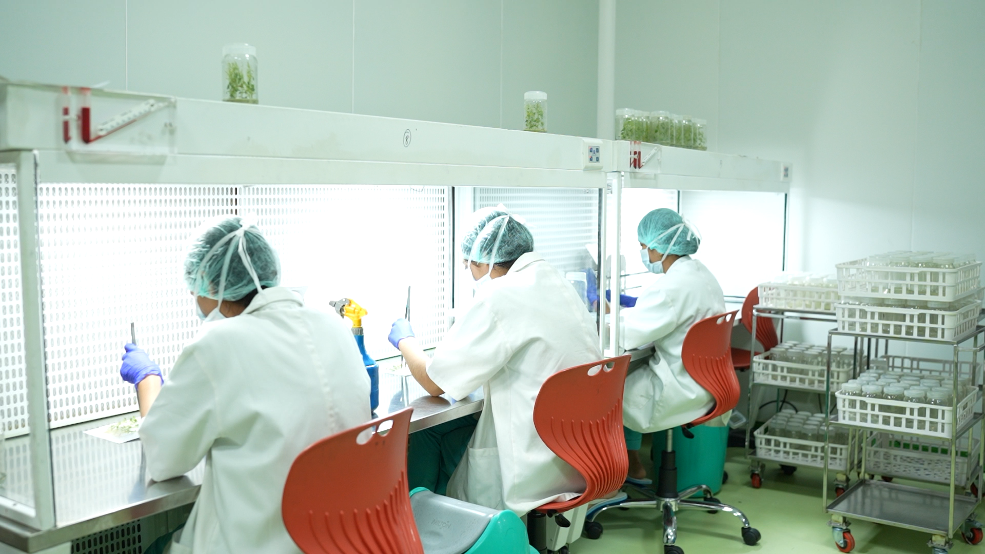 Lab team