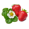 STRAWBERRY VARIETIES